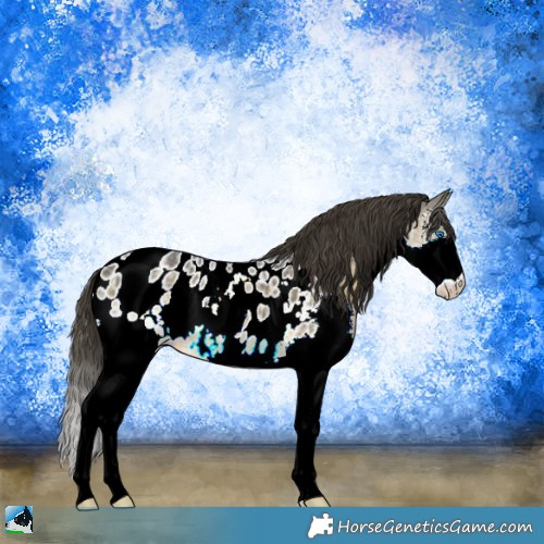 Horse Color:Buckskin Ice Sabino Splash Near Leopard Rabicano 