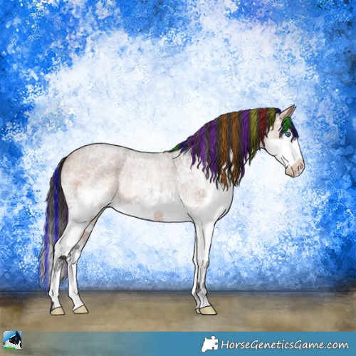 Horse Color:Painted White Spotted Bay Roan Splash 