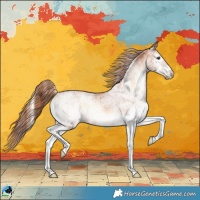 Horse Color:White Spotted Red Onyx 