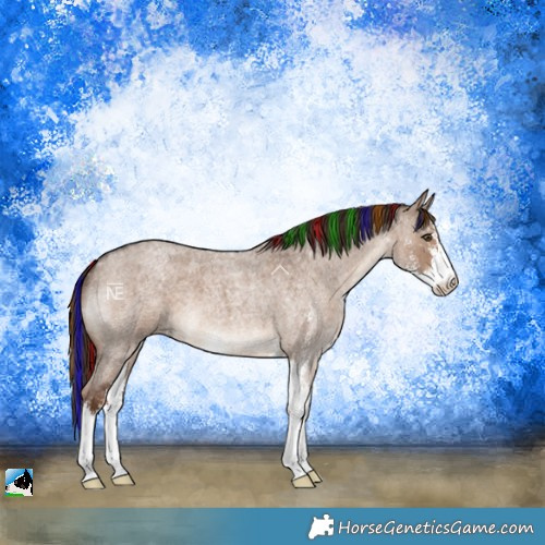 Horse Color:Painted Liver Red Dun Roan Sabino 