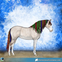 Horse Color:Painted Liver Red Dun Roan Sabino 