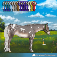 Horse Color:White Spotted Silver Brown Appaloosa 