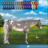 Horse Color:White Spotted Silver Brown Varnish 
