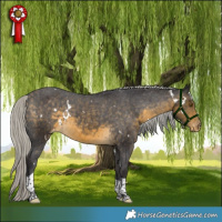 Horse Color:White Spotted Silver Buckskin Tobiano Varnish