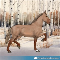 Horse Color:Red Dun Varnish