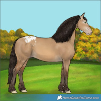 Horse Color:Gray Amber Champagne Dun Varnish 