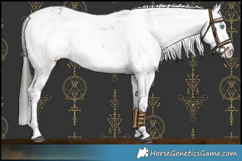 Horse Color:Black Frame Varnish 