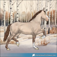 Horse Color:Amber Champagne Dun Varnish 