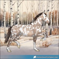 Horse Color:Sable Champagne Dun Leopard 