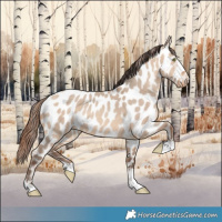 Horse Color:Amber Champagne Dun Near Leopard 