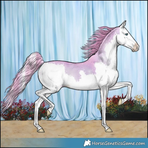 Horse Color:Watercolor Brown Onyx Splash 