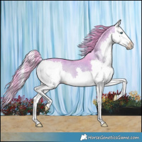Horse Color:Watercolor Brown Onyx Splash