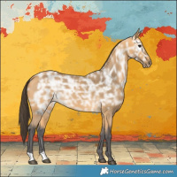 Horse Color:Buckskin Ice 