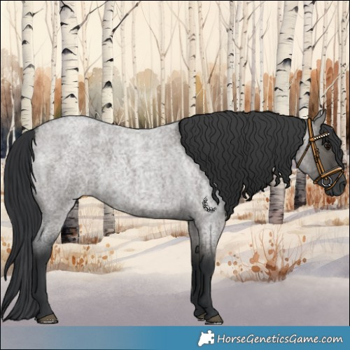 Horse Color:Grullo Roan 