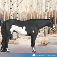 Horse Color:Black Frame 