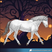 Horse Color:Liver Chestnut Frame 