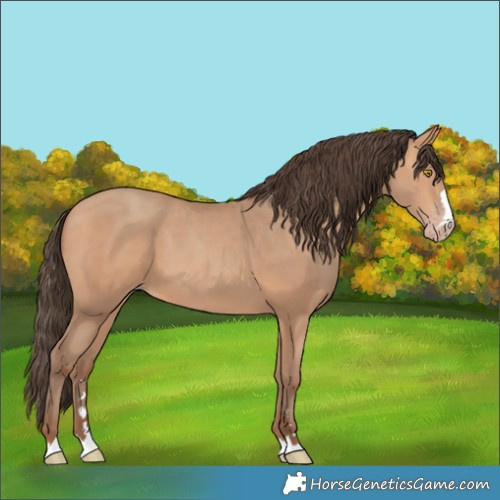 Horse Color:Amber Champagne 