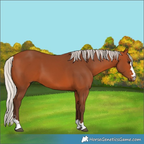 Horse Color:Silver Bay