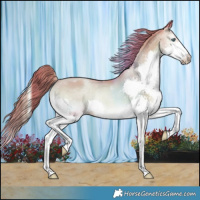 Horse Color:Watercolor Smoky Blue Onyx Pearl Splash 
