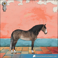 Horse Color:Brown Dun Brindle 