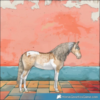 Horse Color:Gray Chocolate Palomino Pearl Dun Tobiano Brindle