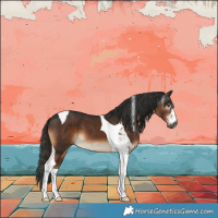 Horse Color:Gray Liver Chestnut Tobiano