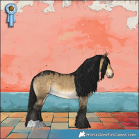 Horse Color:Gray Buckskin Dun 