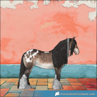 Horse Color:Brown Dun Tobiano Appaloosa Brindle 