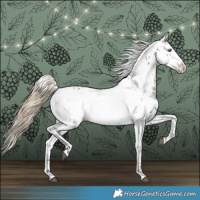 Horse Color:Liver Chestnut Frame 