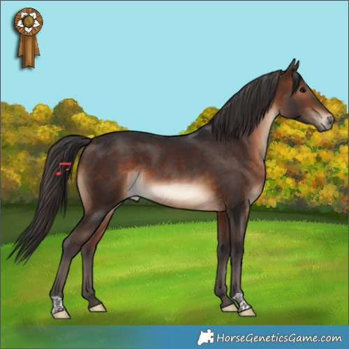 Horse Color:Brown 