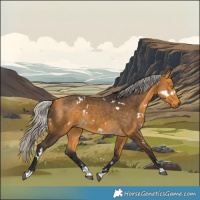 Horse Color:White Spotted Silver Buckskin 