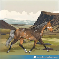 Horse Color:White Spotted Silver Buckskin 