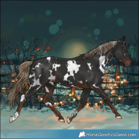 Horse Color:White Spotted Liver Chestnut 