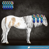 Horse Color:Silver Classic Cream Champagne Sabino Splash Tobiano