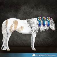 Horse Color:Silver Classic Cream Champagne Sabino Splash Tobiano