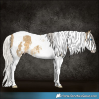 Horse Color:Silver Classic Cream Champagne Sabino Splash Tobiano 