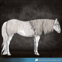 Horse Color:Silver Smoky Grullo Roan Splash Rabicano