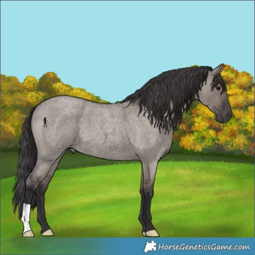 Horse Color:Smoky Grullo Roan 