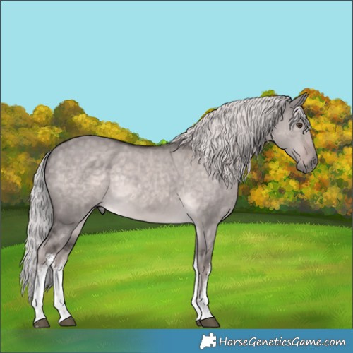 Horse Color:Platinum White Spotted Chocolate Palomino Dun Rabicano 