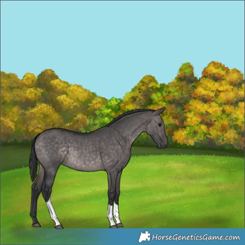 Horse Color:Platinum Brown Dun Tobiano Rabicano 