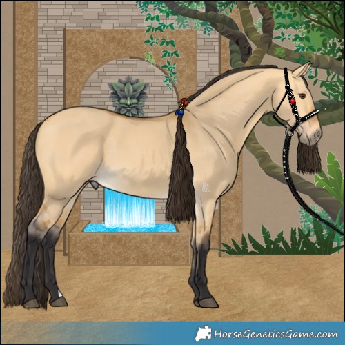 Horse Color:Buckskin Dun