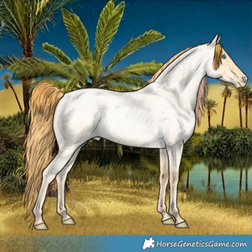 Horse Color:Buckskin Roan Pearl Dun