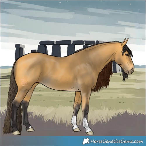 Horse Color:Buckskin 