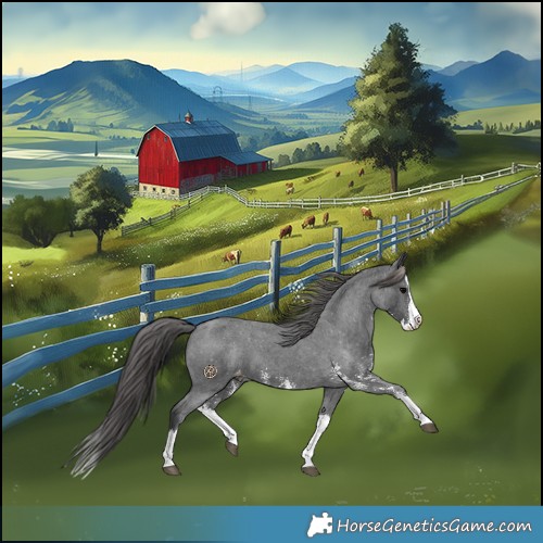 Horse Color:Black Sabino Splash Varnish 