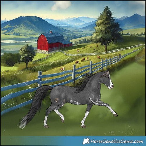 Horse Color:Black Sabino Splash Varnish