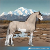 Horse Color:Classic Champagne Roan Splash Frame 