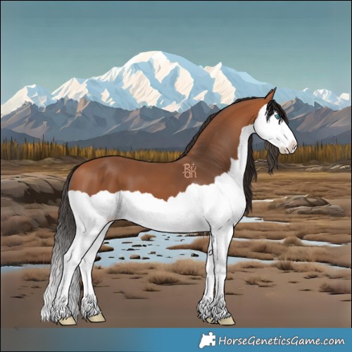 Horse Color:Bay Splash 