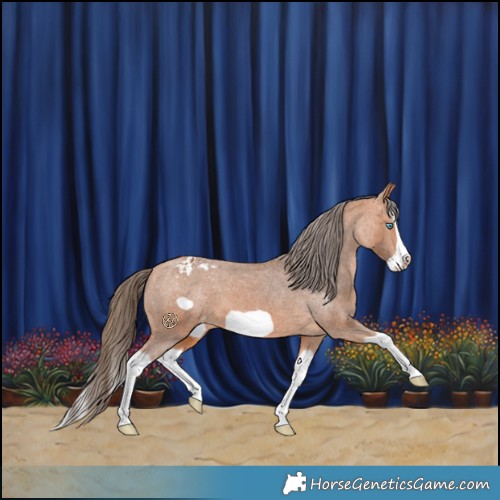 Horse Color:Bay Splash Frame Varnish 