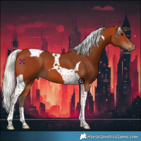 Horse Color:Silver Bay Tobiano