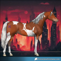 Horse Color:Silver Bay Tobiano 